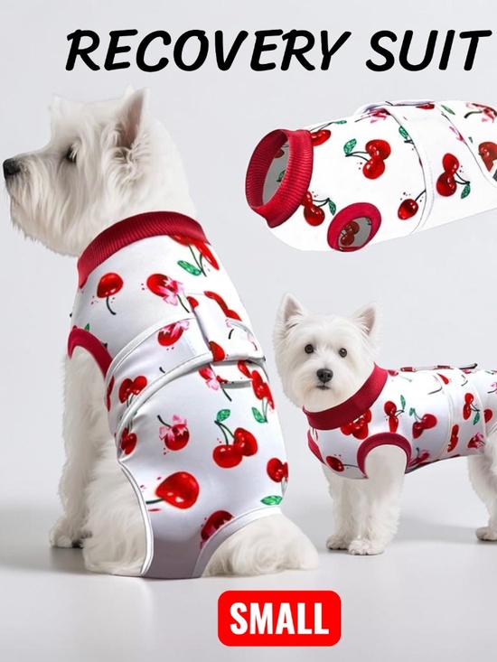 Other - Dog Recovery Suit Small Cherry Print Surgery Onesie NWOT